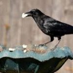 file_image_1568117288