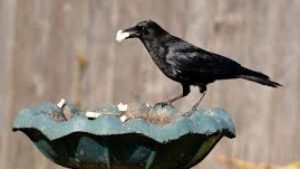 file_image_1568117288