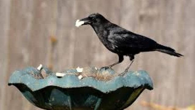 file_image_1568117288